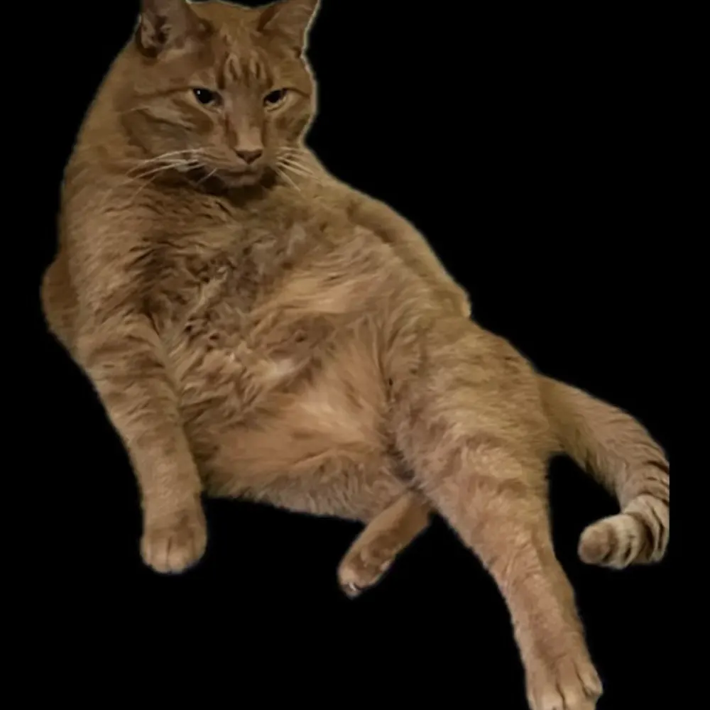 erinksaunders.bsky.social's profile picture