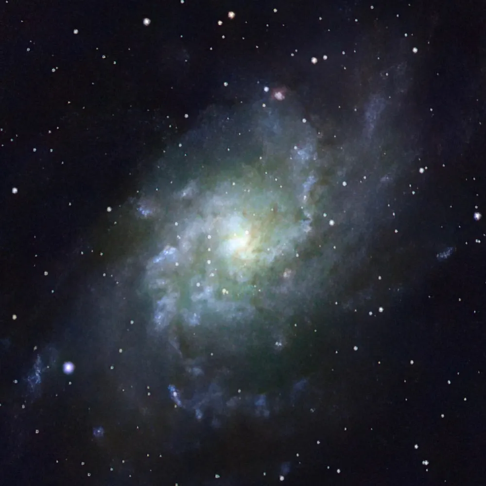 stoney.monster's profile picture