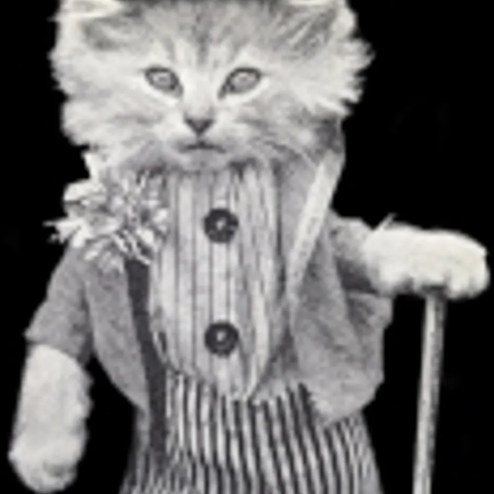 builttoshill.bsky.social's profile picture