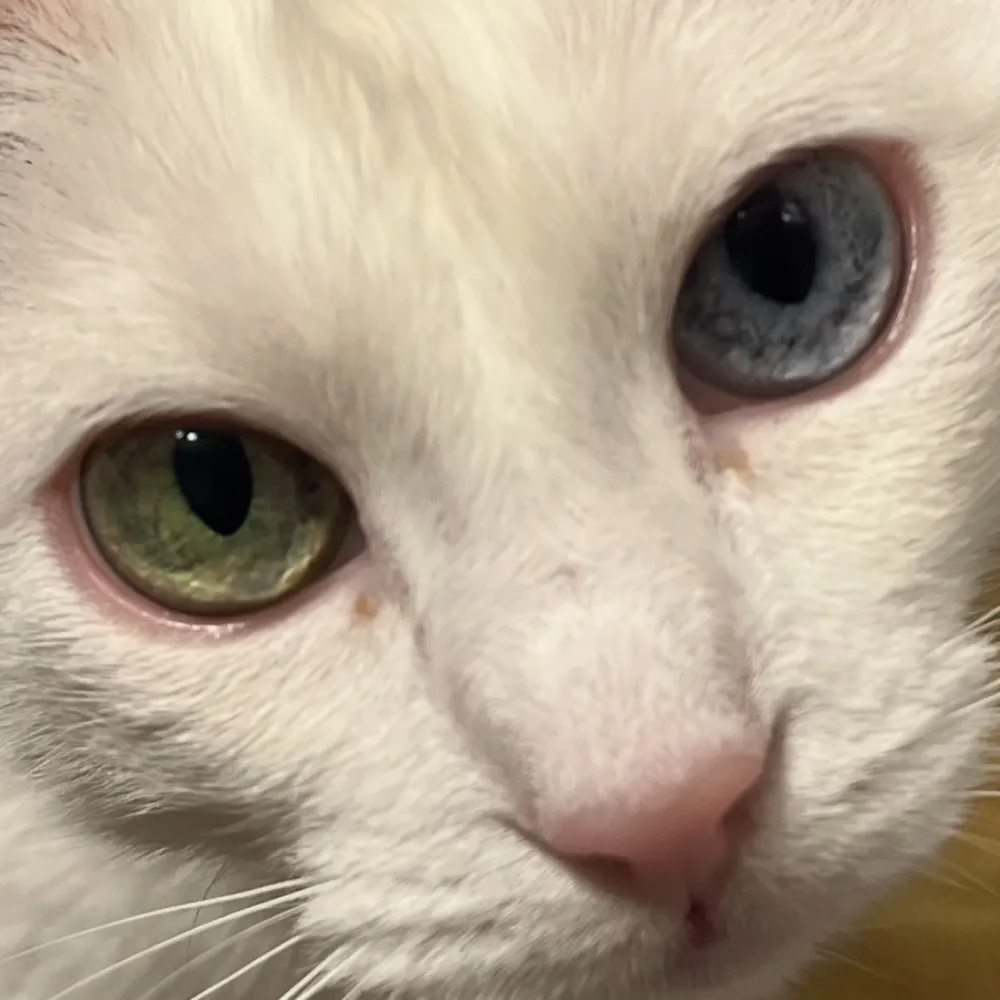 addmorecoffee.bsky.social's profile picture