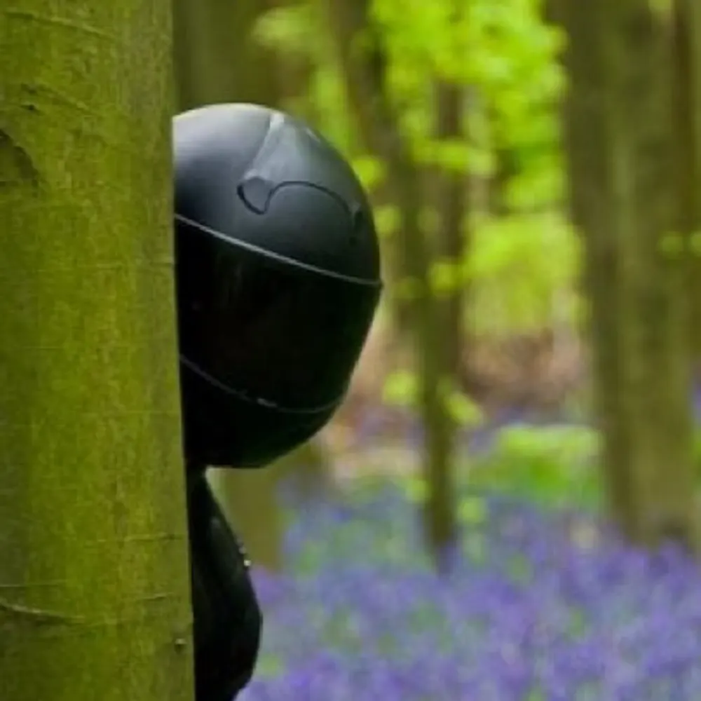 denovich.com's profile picture