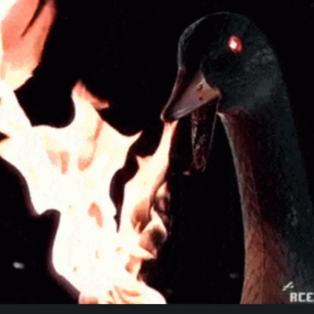 1angrygoose.bsky.social's profile picture