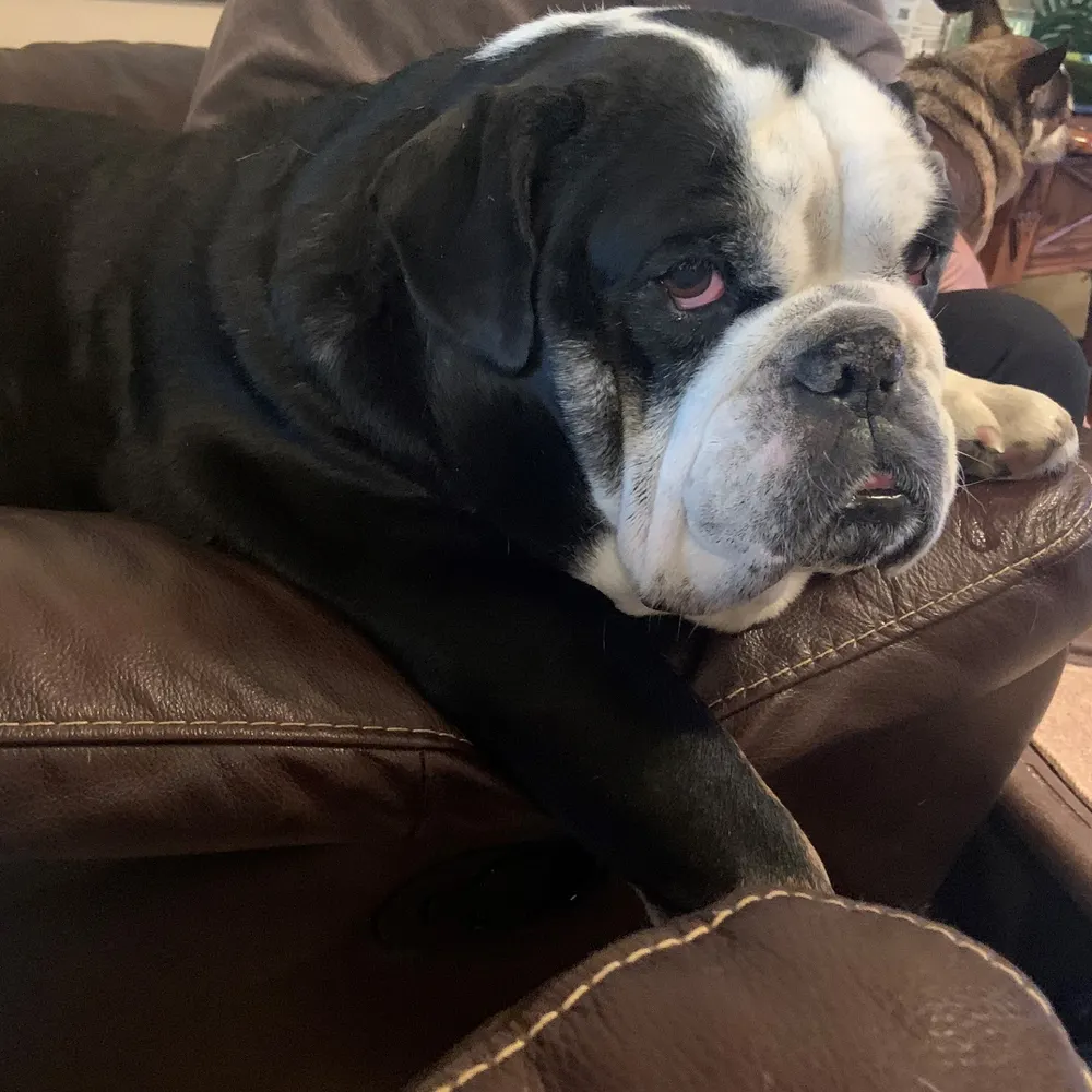 nachoyourbizness.bsky.social's profile picture