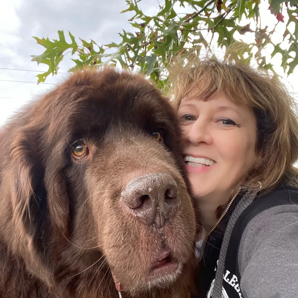 mona416.bsky.social's profile picture