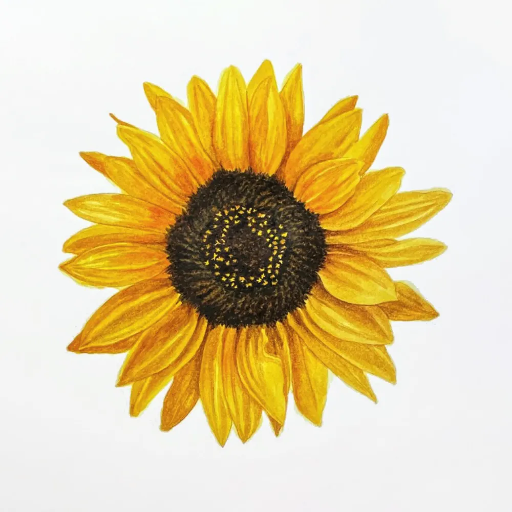 leonidesmainly.bsky.social's profile picture