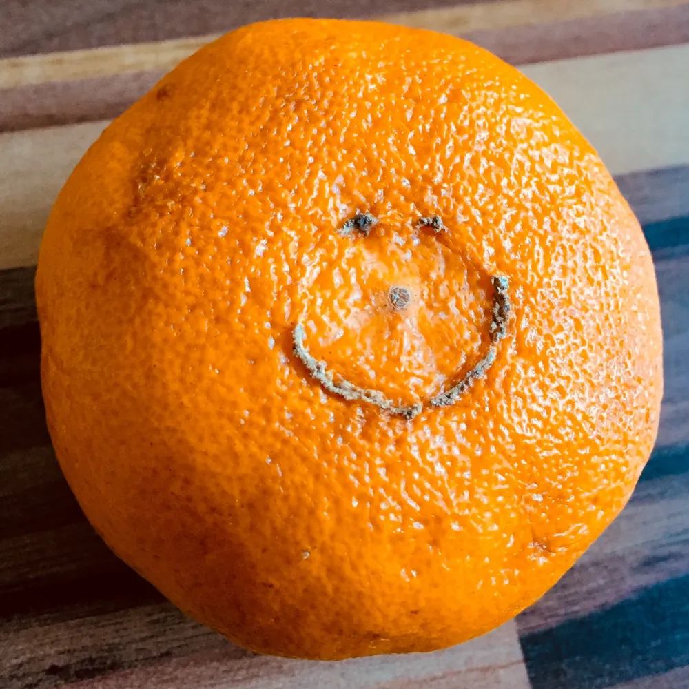 intermett.eurosky.social's profile picture