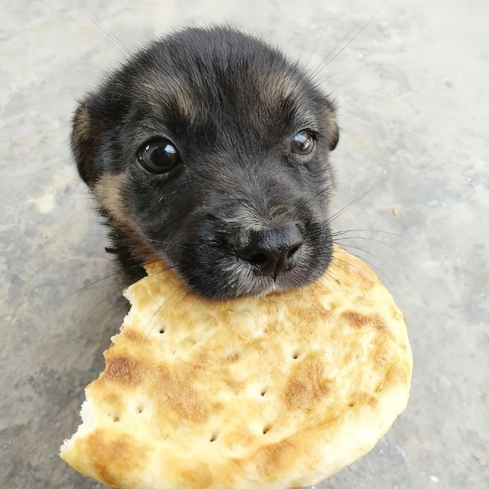 mep04.bsky.social's profile picture