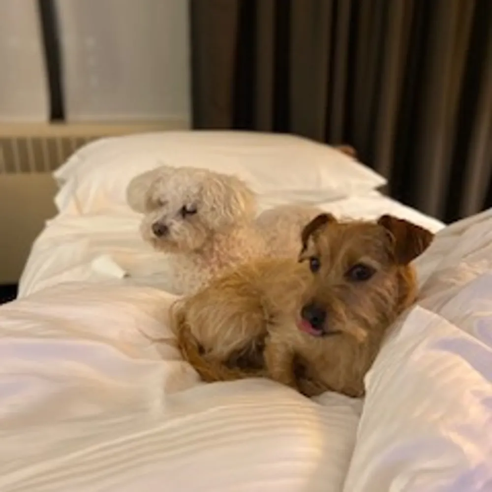 madalinepaige.bsky.social's profile picture