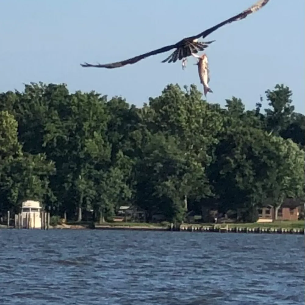 joke2power.bsky.social's profile picture