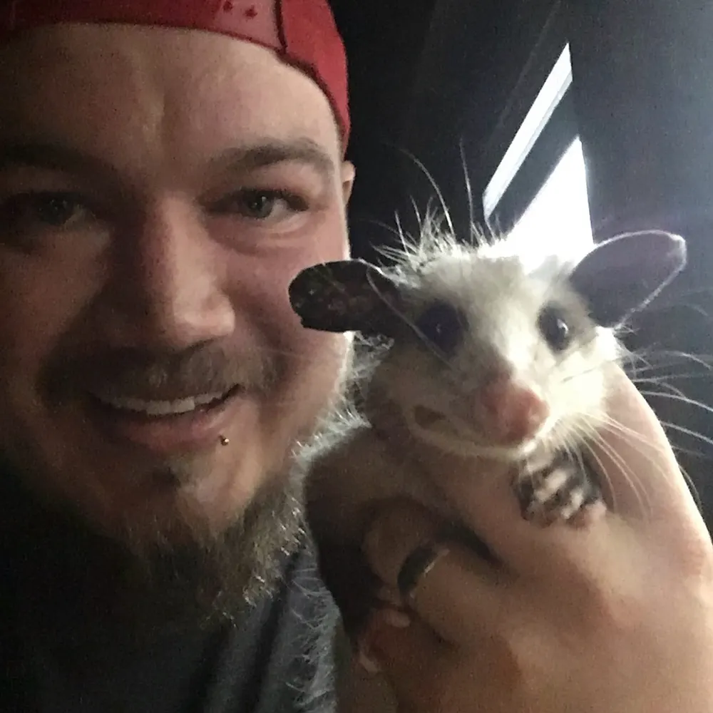 chuckd918.bsky.social's profile picture