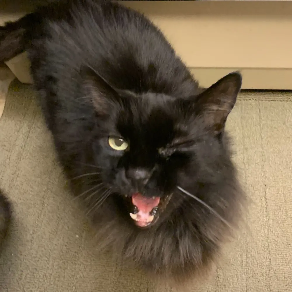 burning-airlines.bsky.social's profile picture