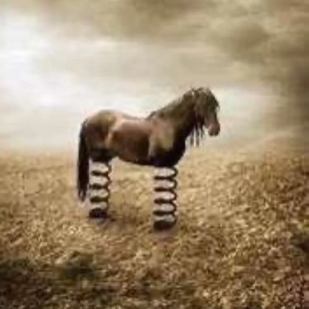 dyspress.bsky.social's profile picture