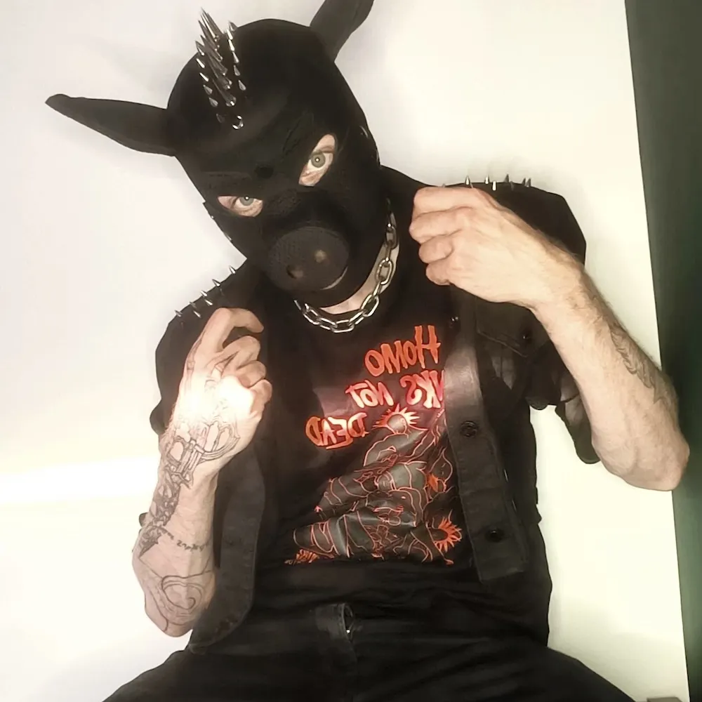 ppig.bsky.social's profile picture