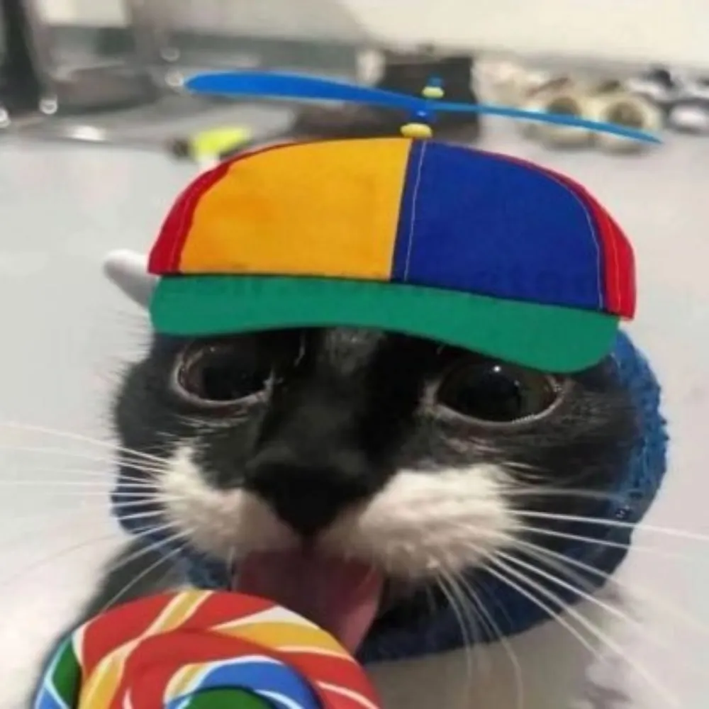 spacejamveteran.bsky.social's profile picture