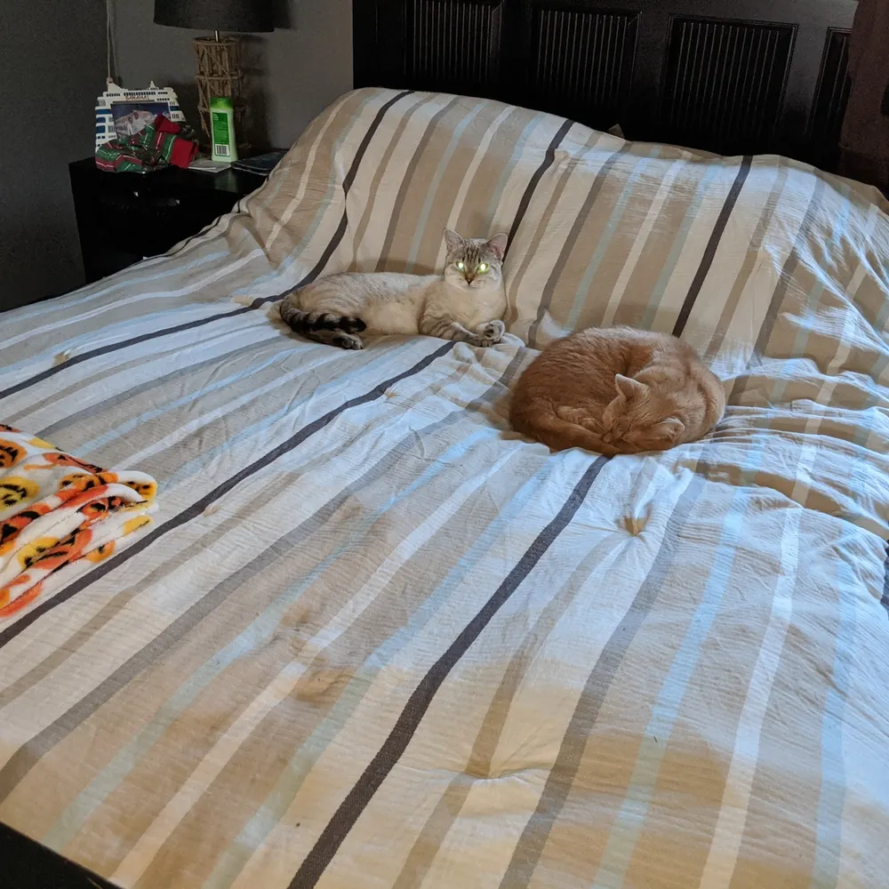 smoooooveoper8tor.bsky.social's profile picture