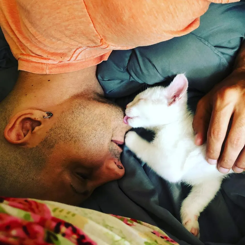 introverter.bsky.social's profile picture