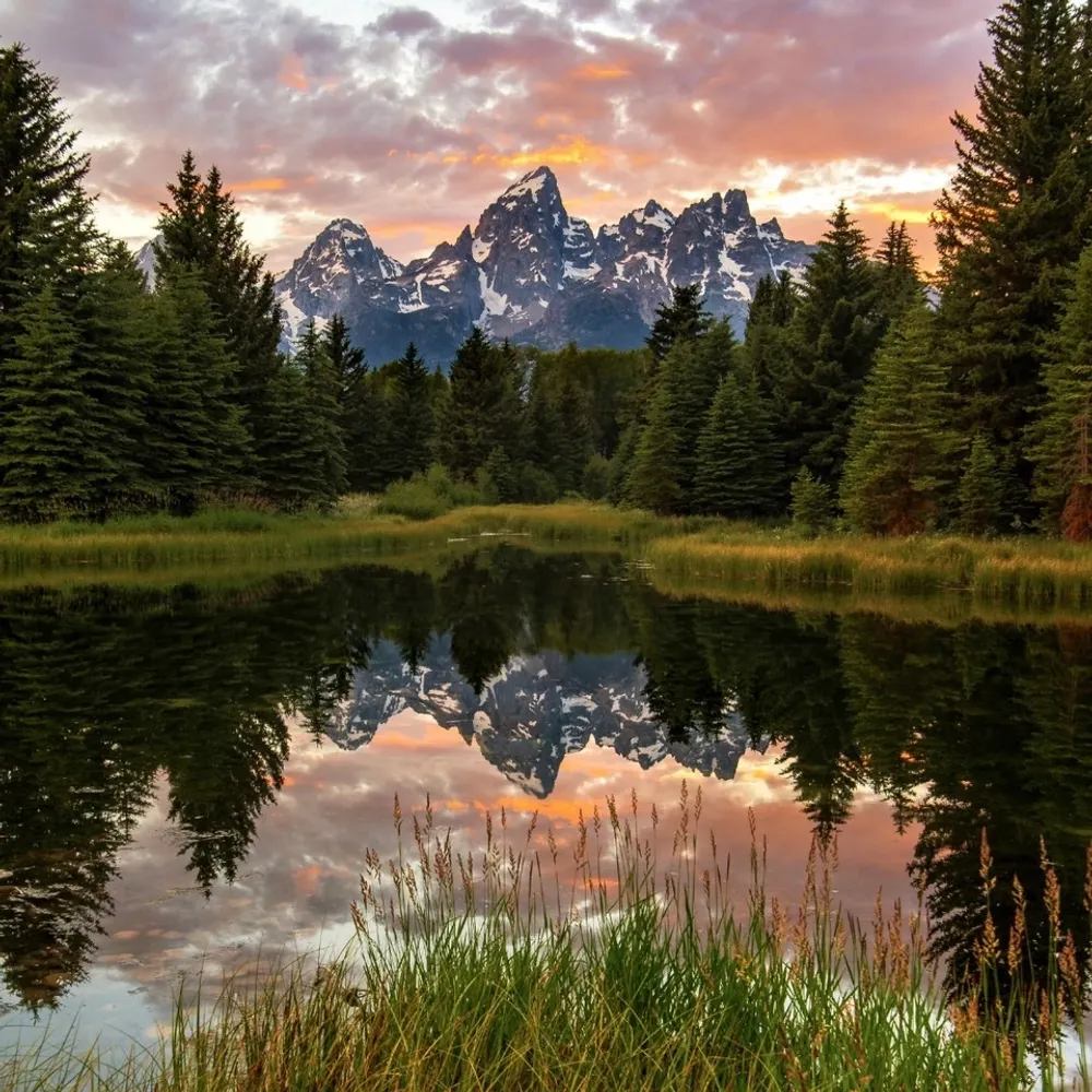 chelleluna.bsky.social's profile picture