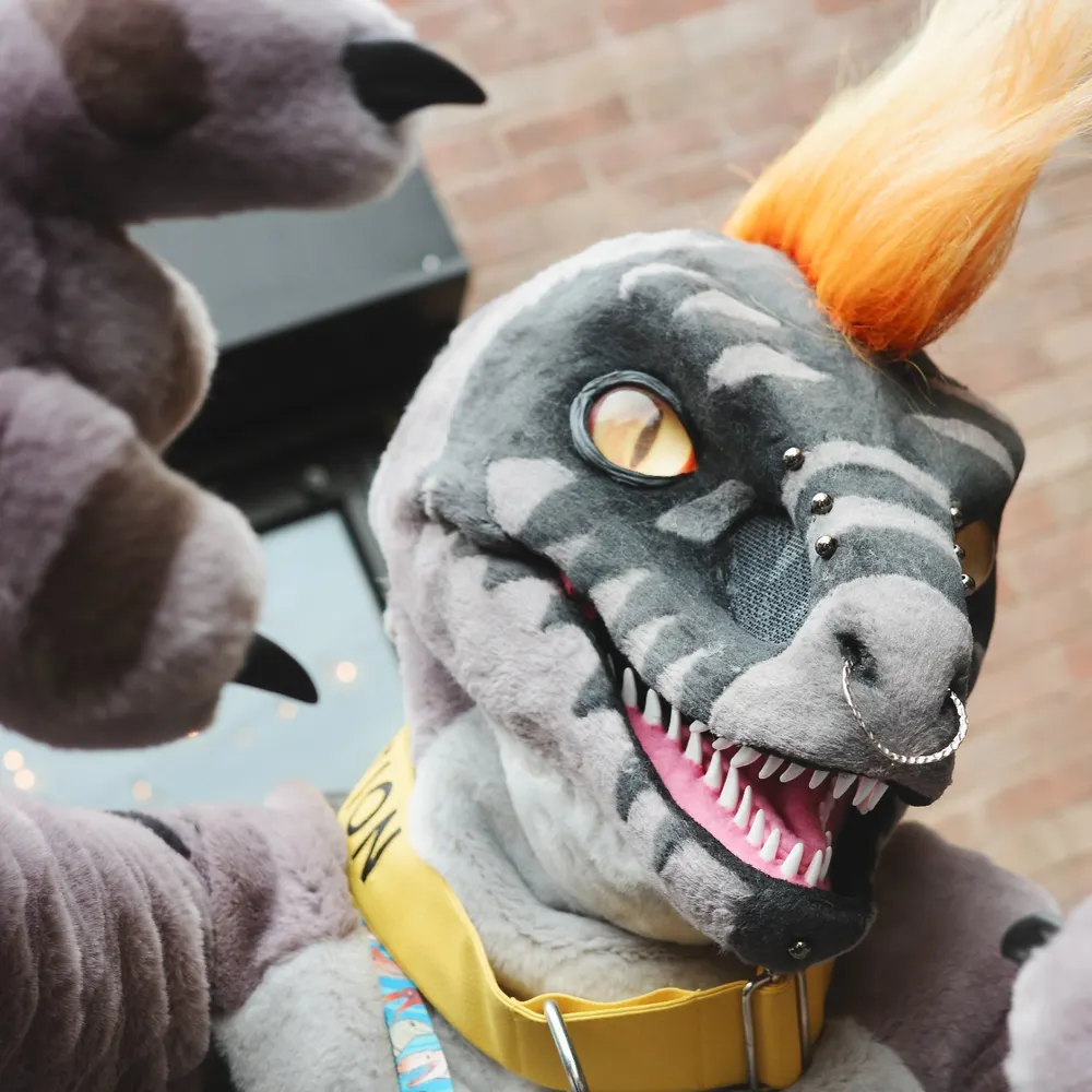 pyeraptor.bsky.social's profile picture