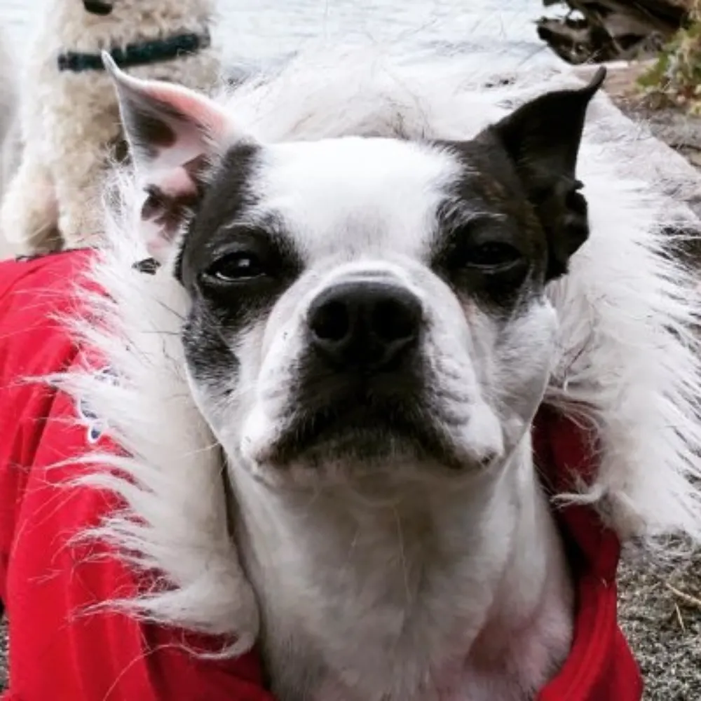 kmacky.bsky.social's profile picture