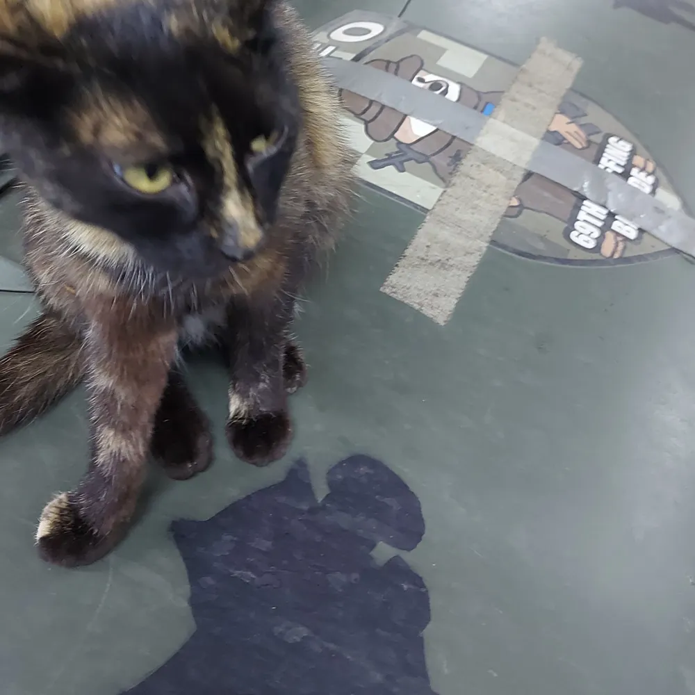 simonboxer.bsky.social's profile picture