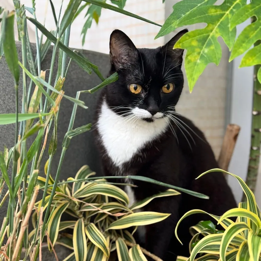 kinemotim.bsky.social's profile picture