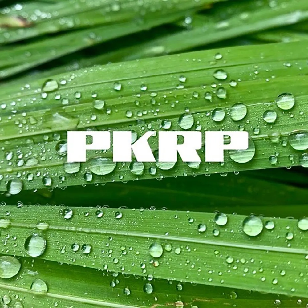 pkrpmusic.bsky.social's profile picture