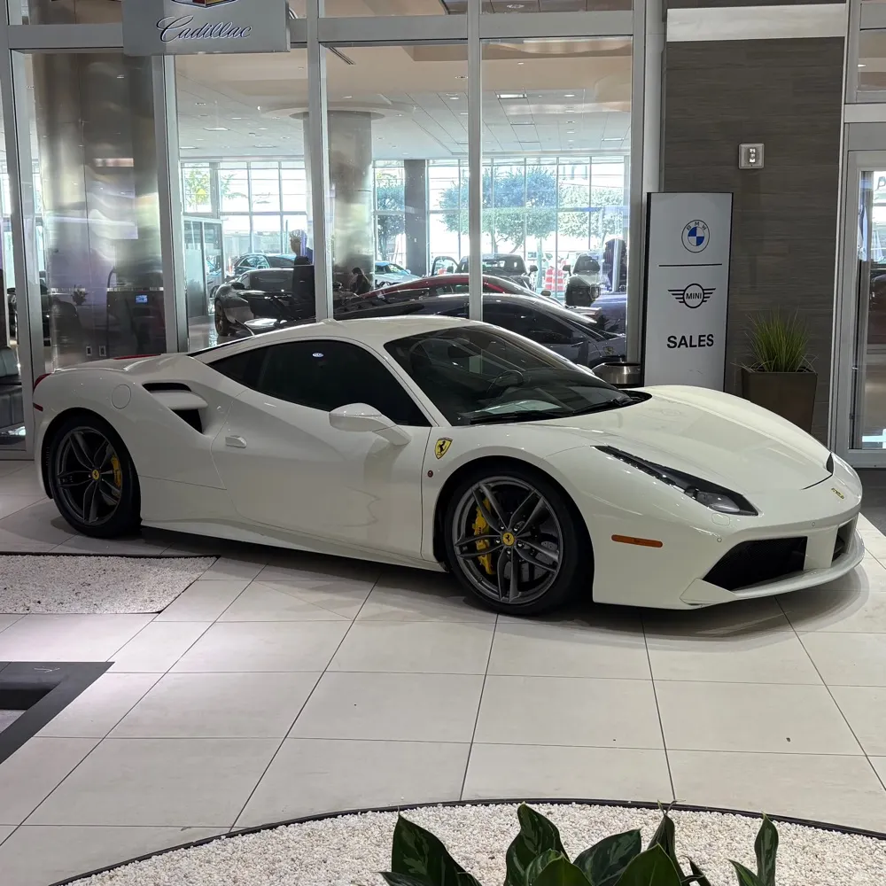 tifosiotaku.bsky.social's profile picture