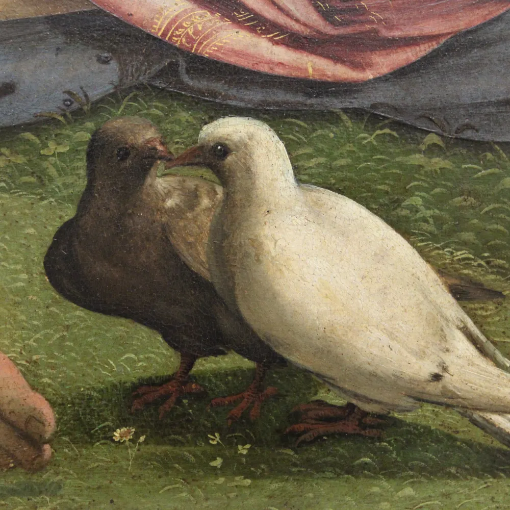 floorsalad.bsky.social's profile picture