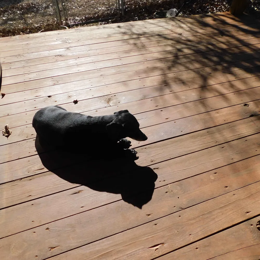 peggychaney.bsky.social's profile picture