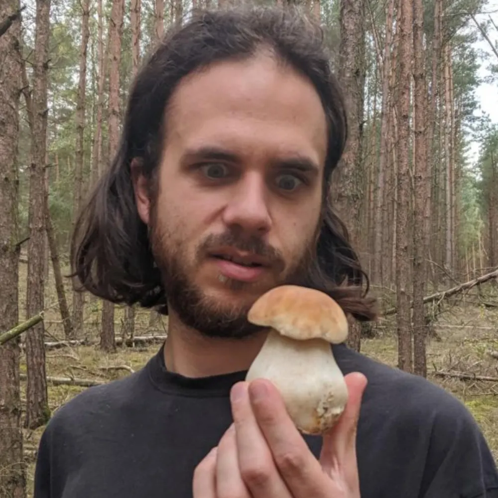 funwithtriangles.net's profile picture