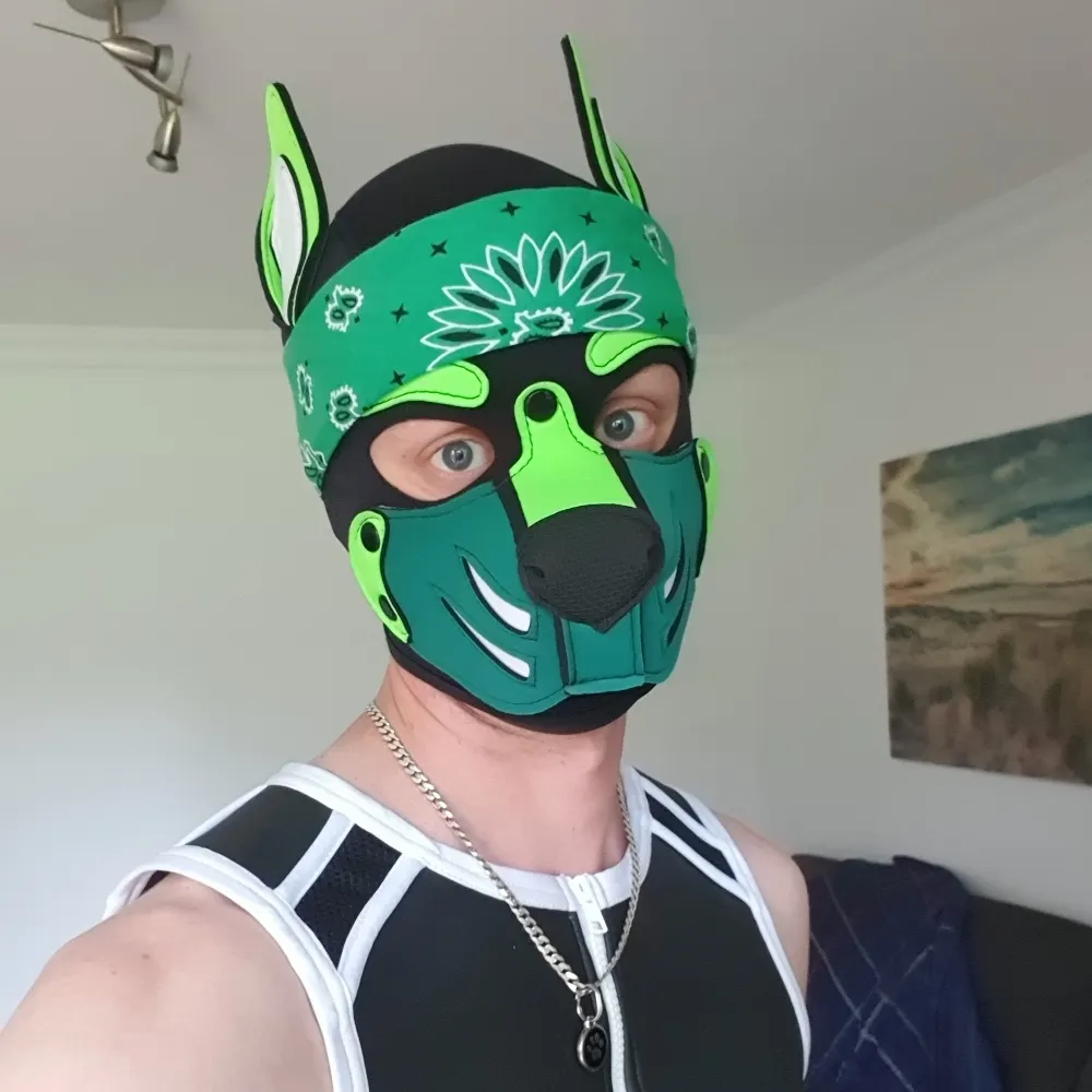 pupmojo.bsky.social's profile picture