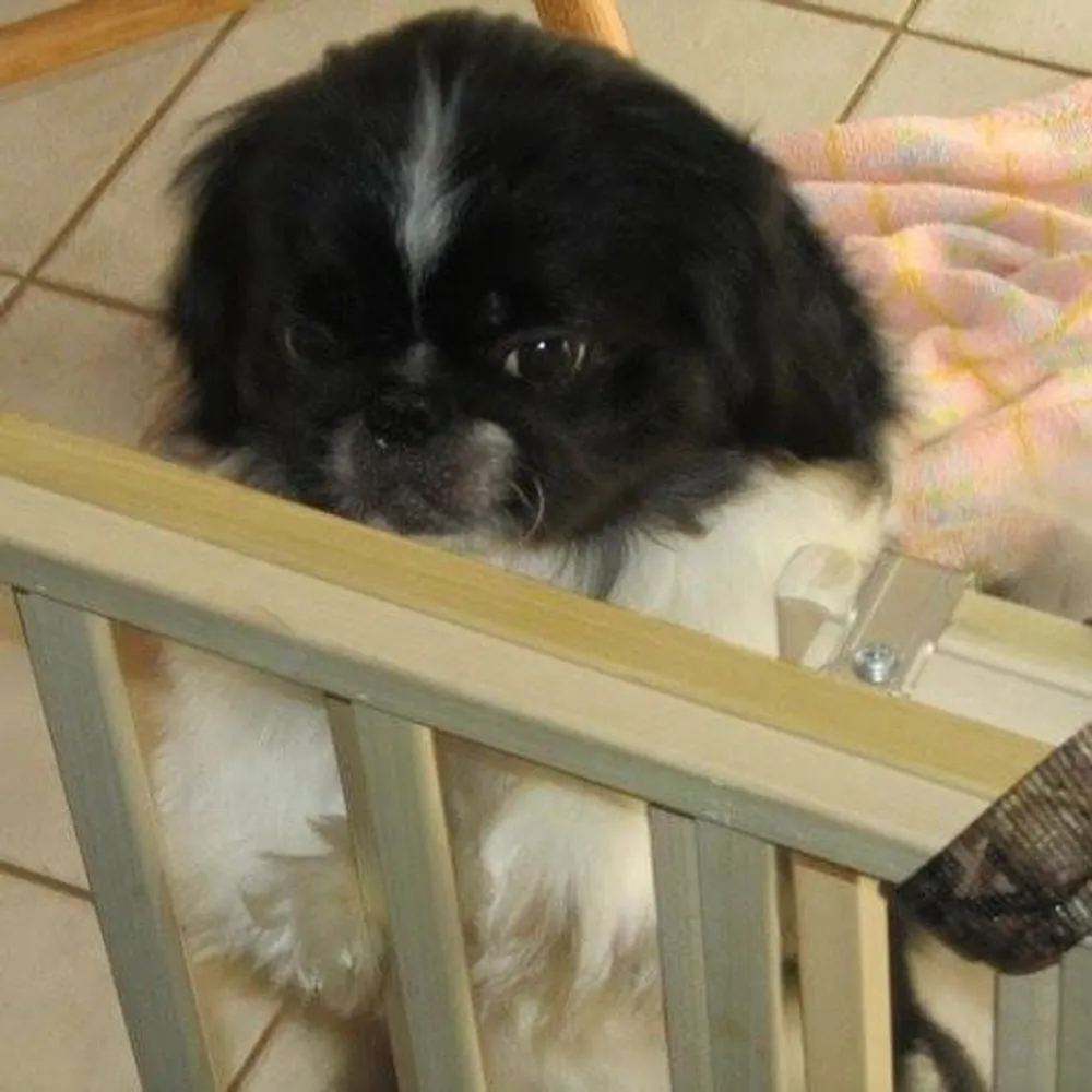 notinspring.bsky.social's profile picture