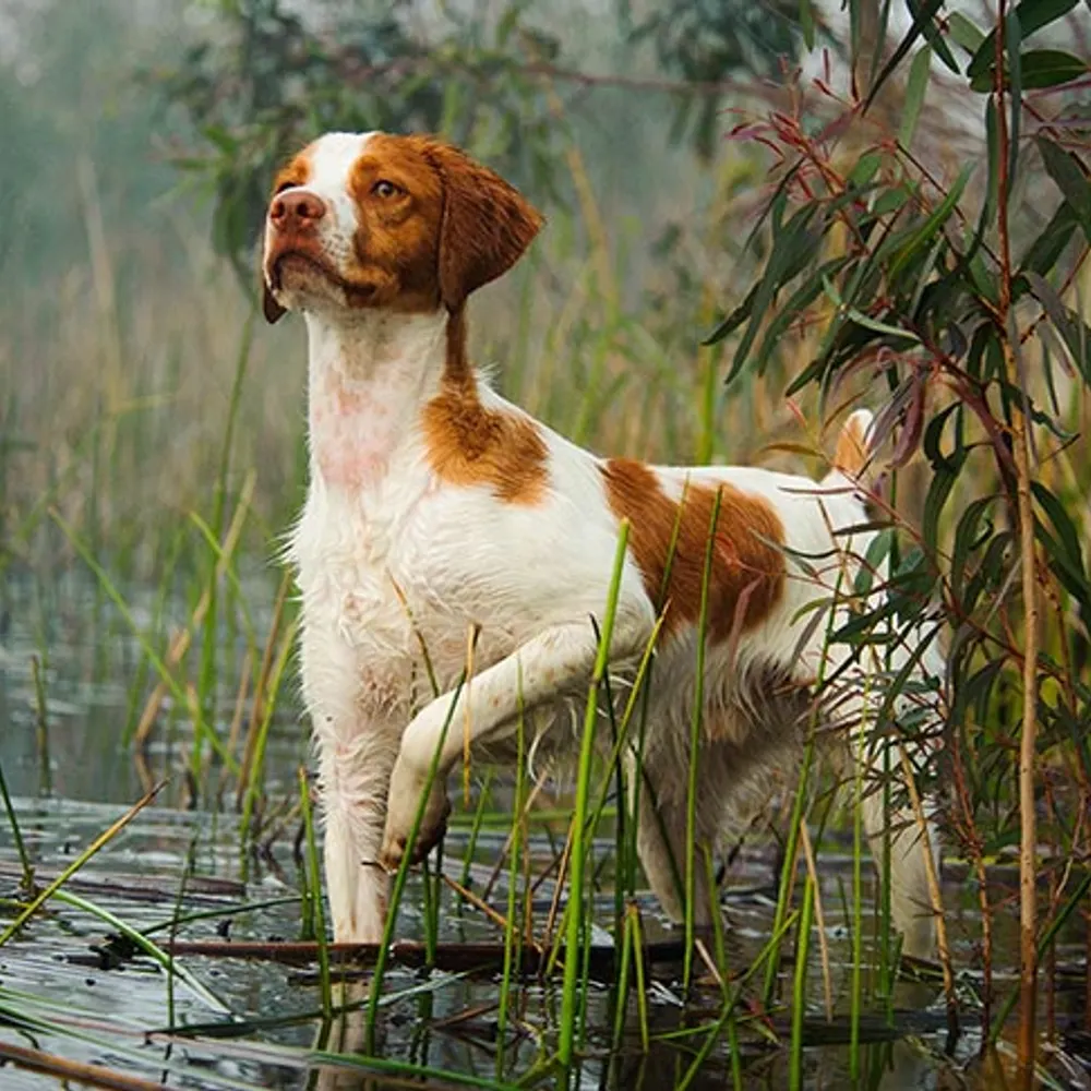 oujt.bsky.social's profile picture