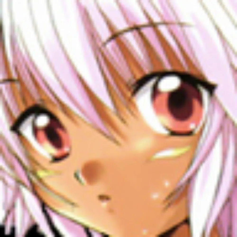 segment6.net's profile picture