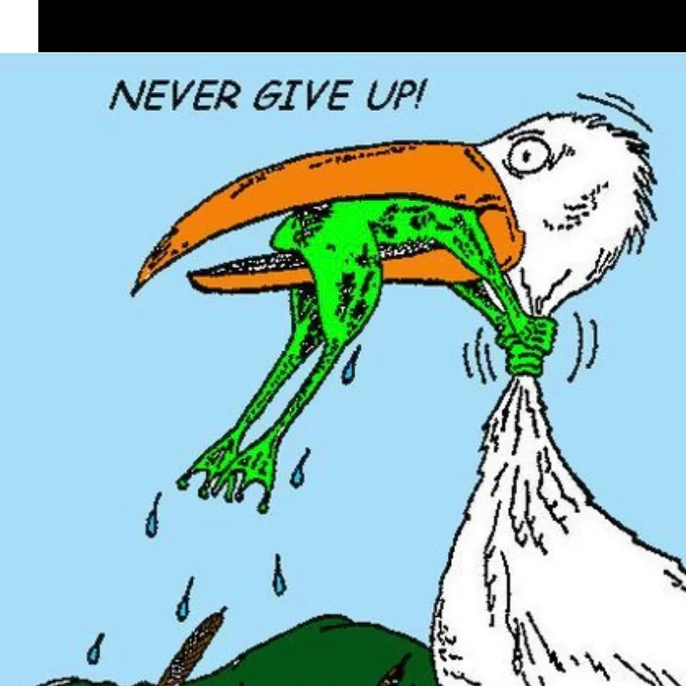 jack-ch.bsky.social's profile picture