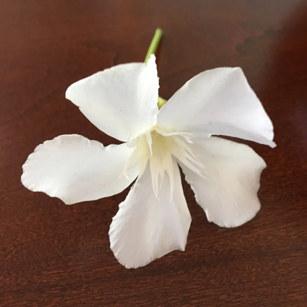 jillcordry.bsky.social's profile picture