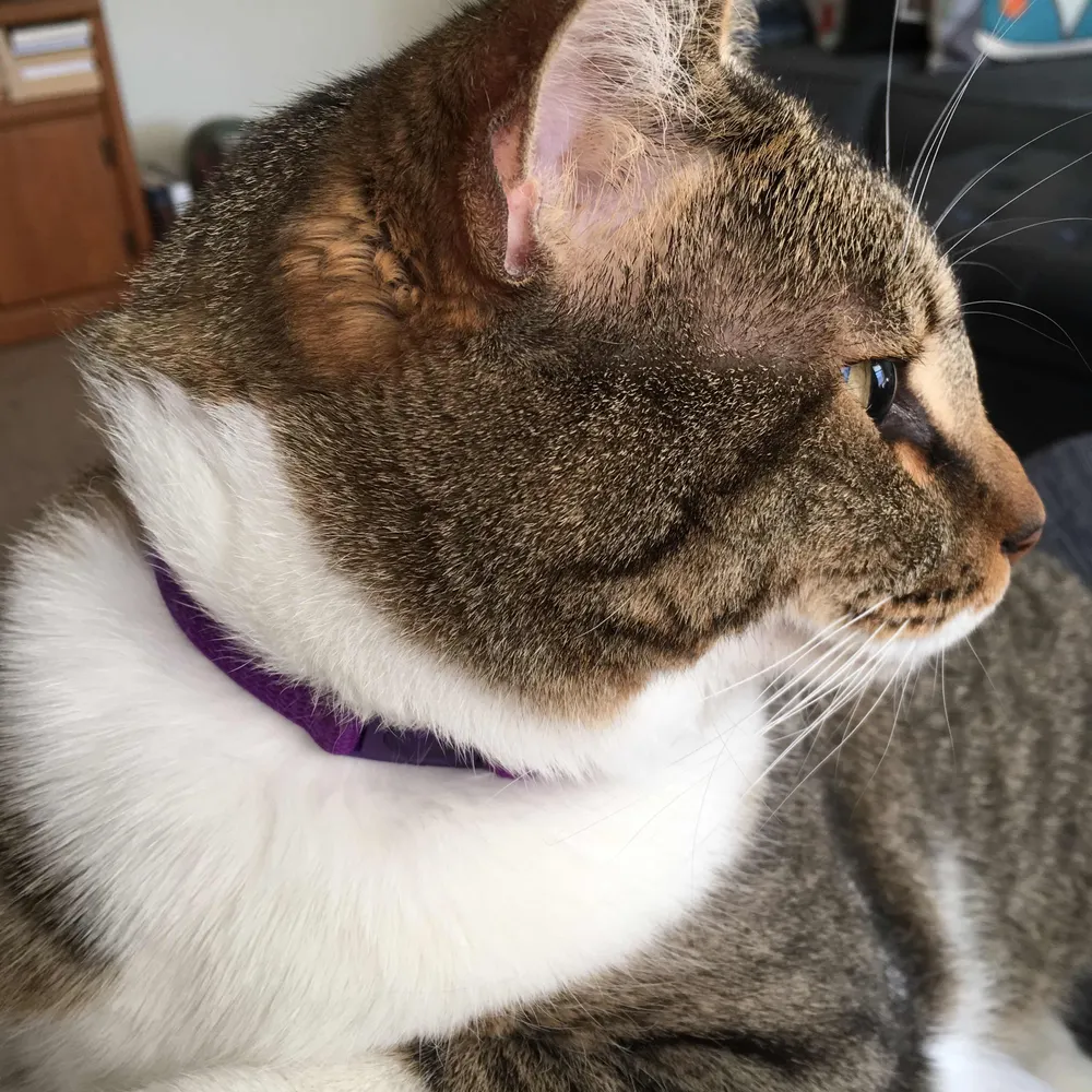 janomalley3.bsky.social's profile picture