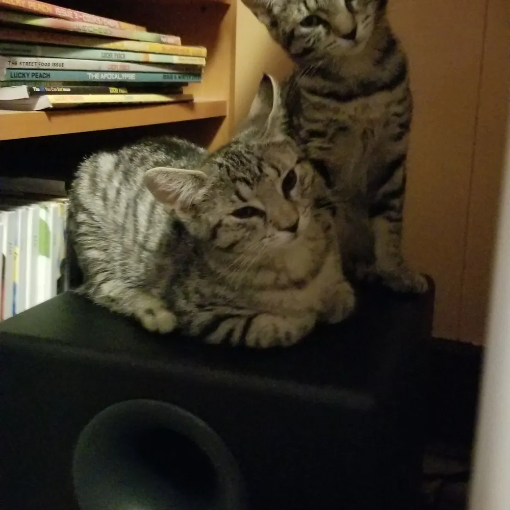 sethburn.bsky.social's profile picture