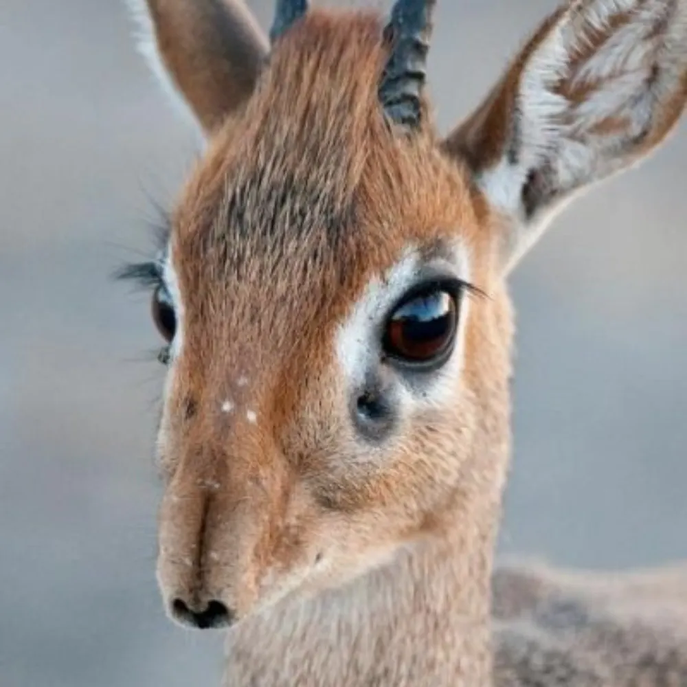 jacobwisner.bsky.social's profile picture