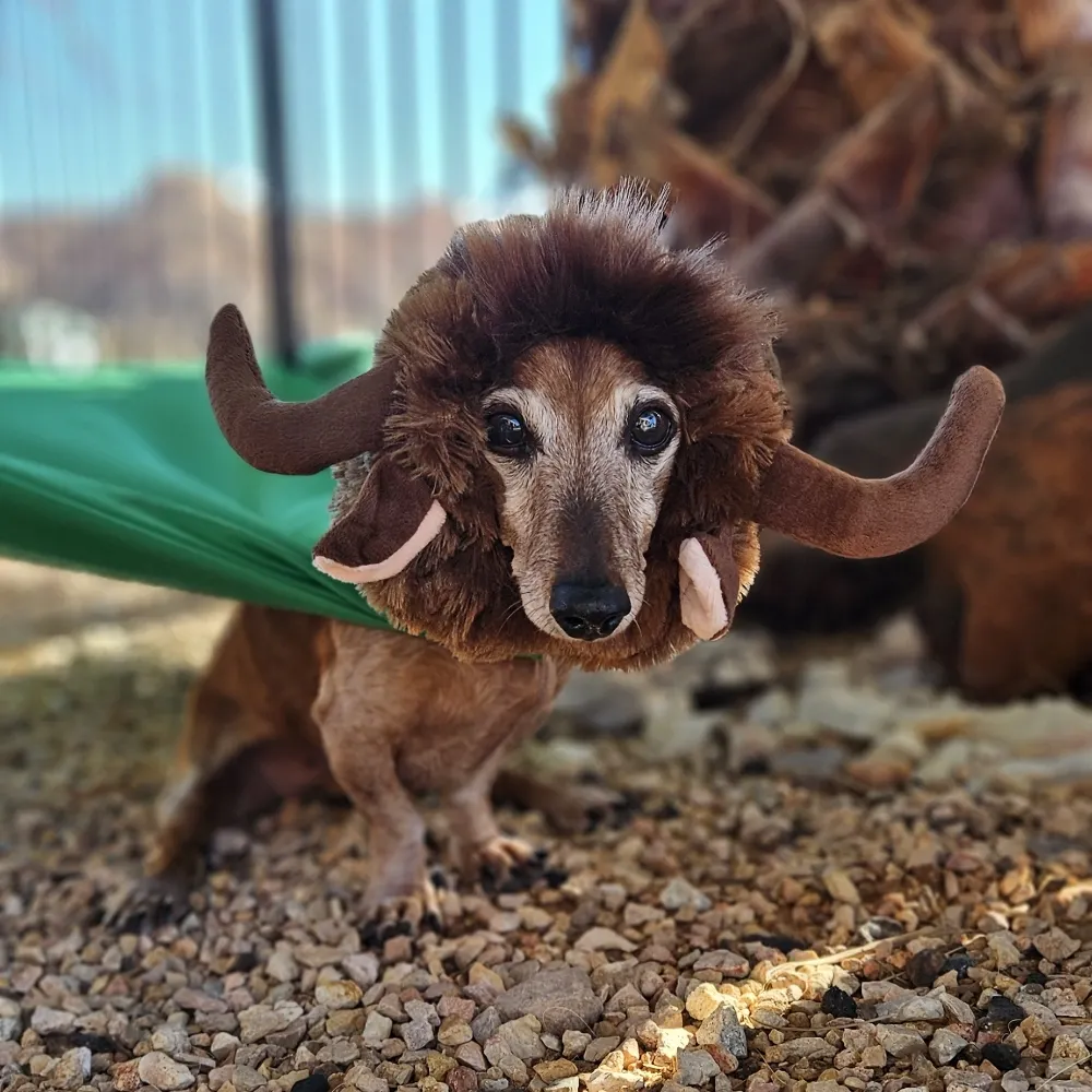 doxyvision.bsky.social's profile picture