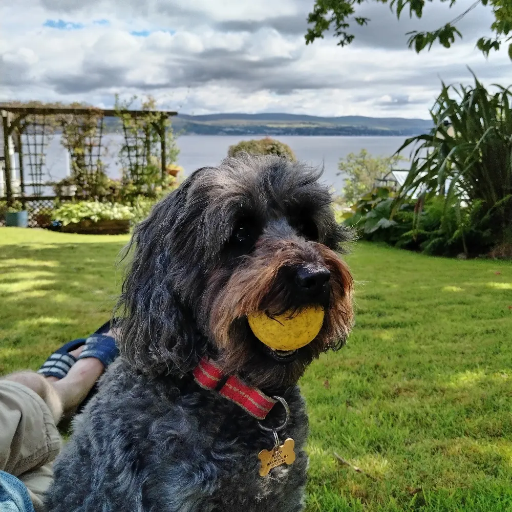 sandy-beach.bsky.social's profile picture