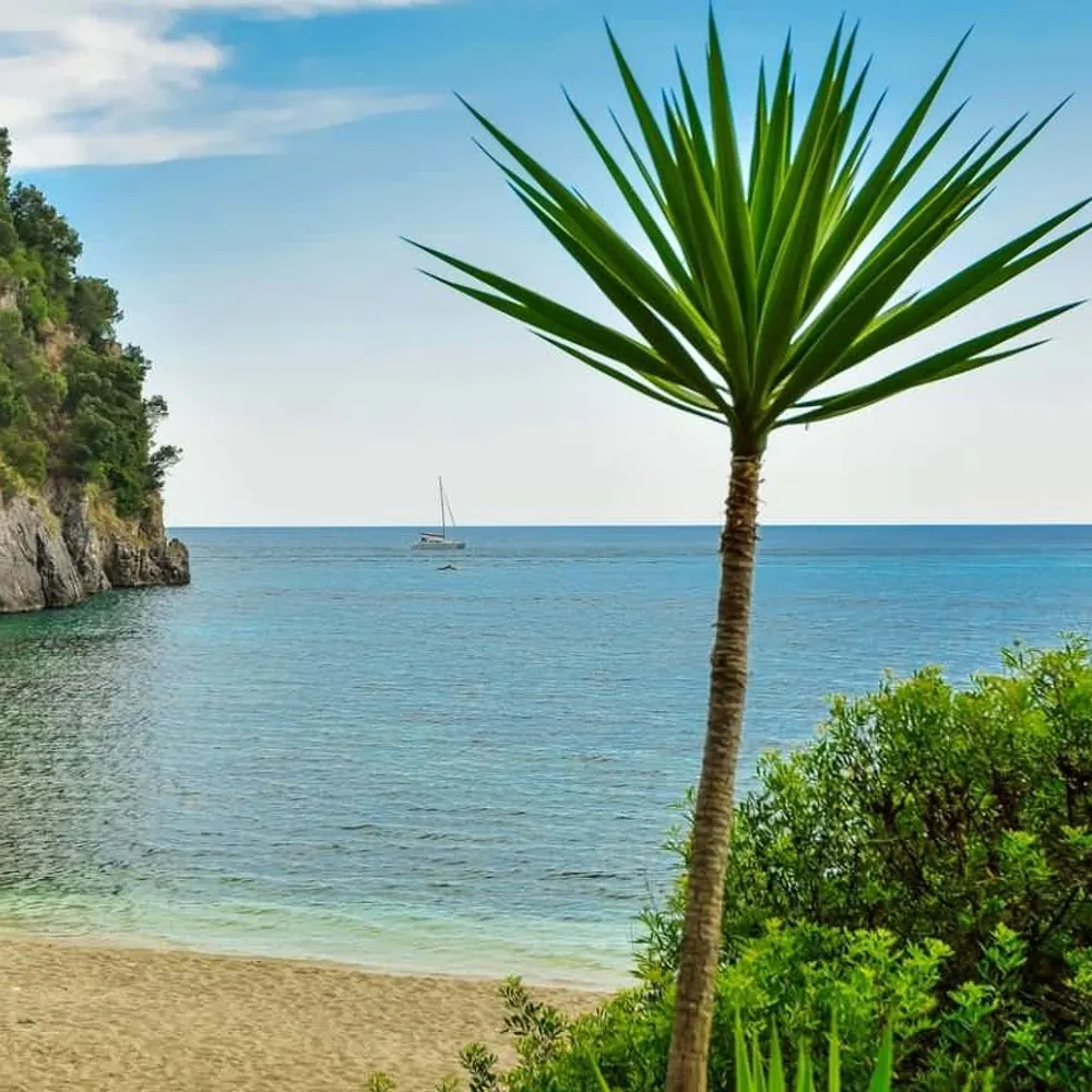 jcbeaches.bsky.social's profile picture