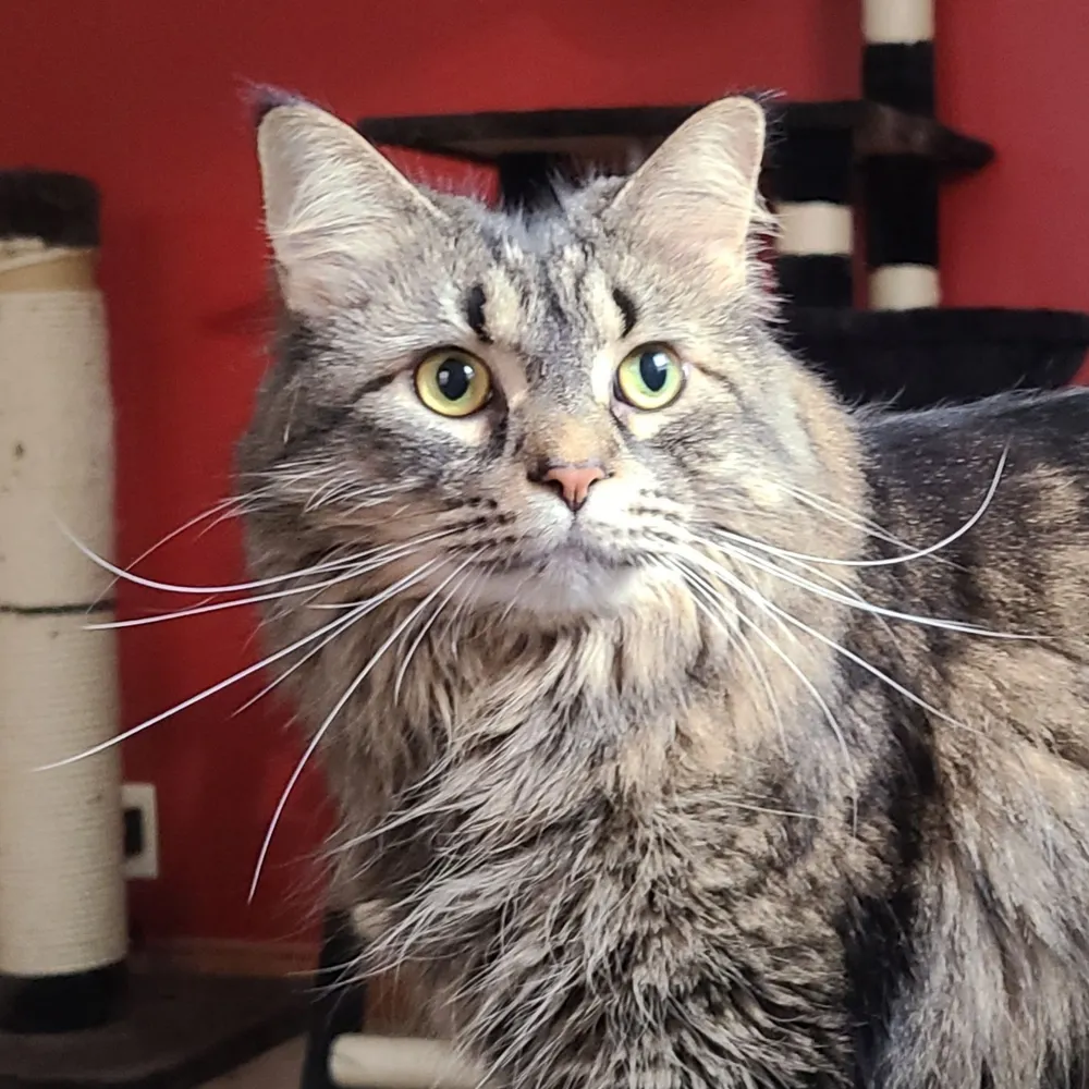 brewcitychaser.com's profile picture