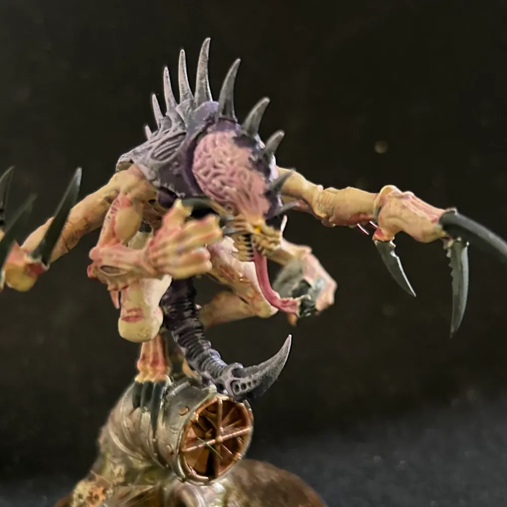 angryparakeet.bsky.social's profile picture