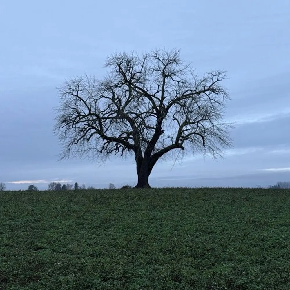 unclefatmatty.bsky.social's profile picture