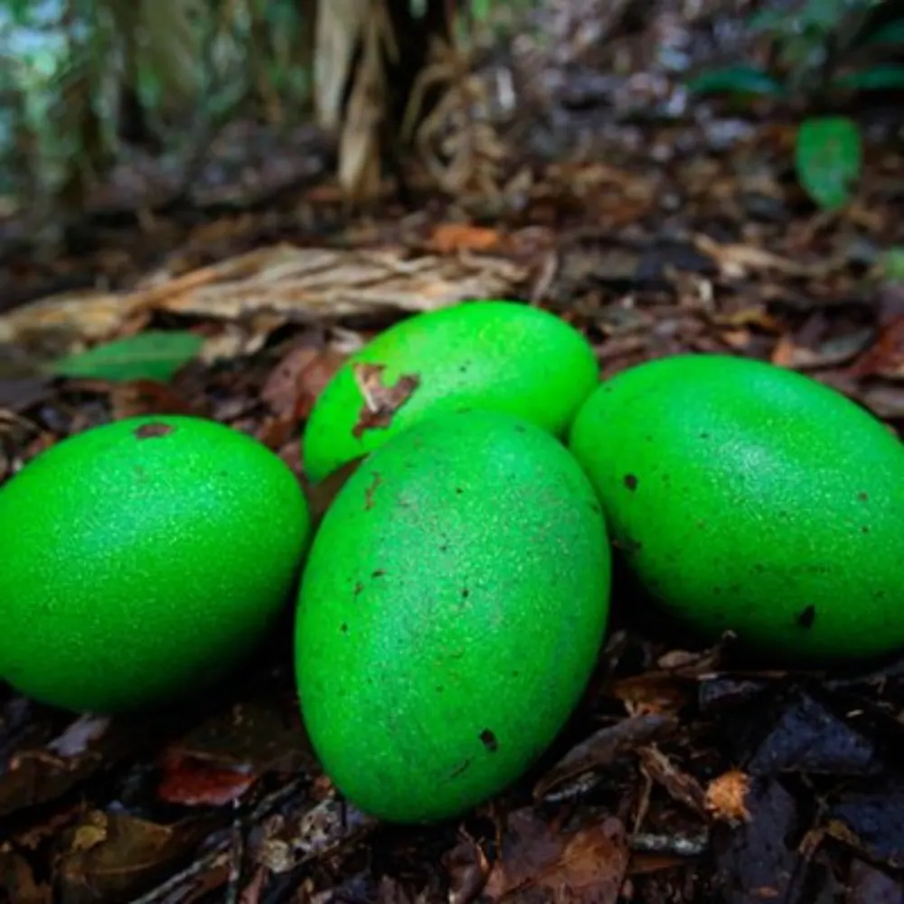 paulmd199.bsky.social's profile picture