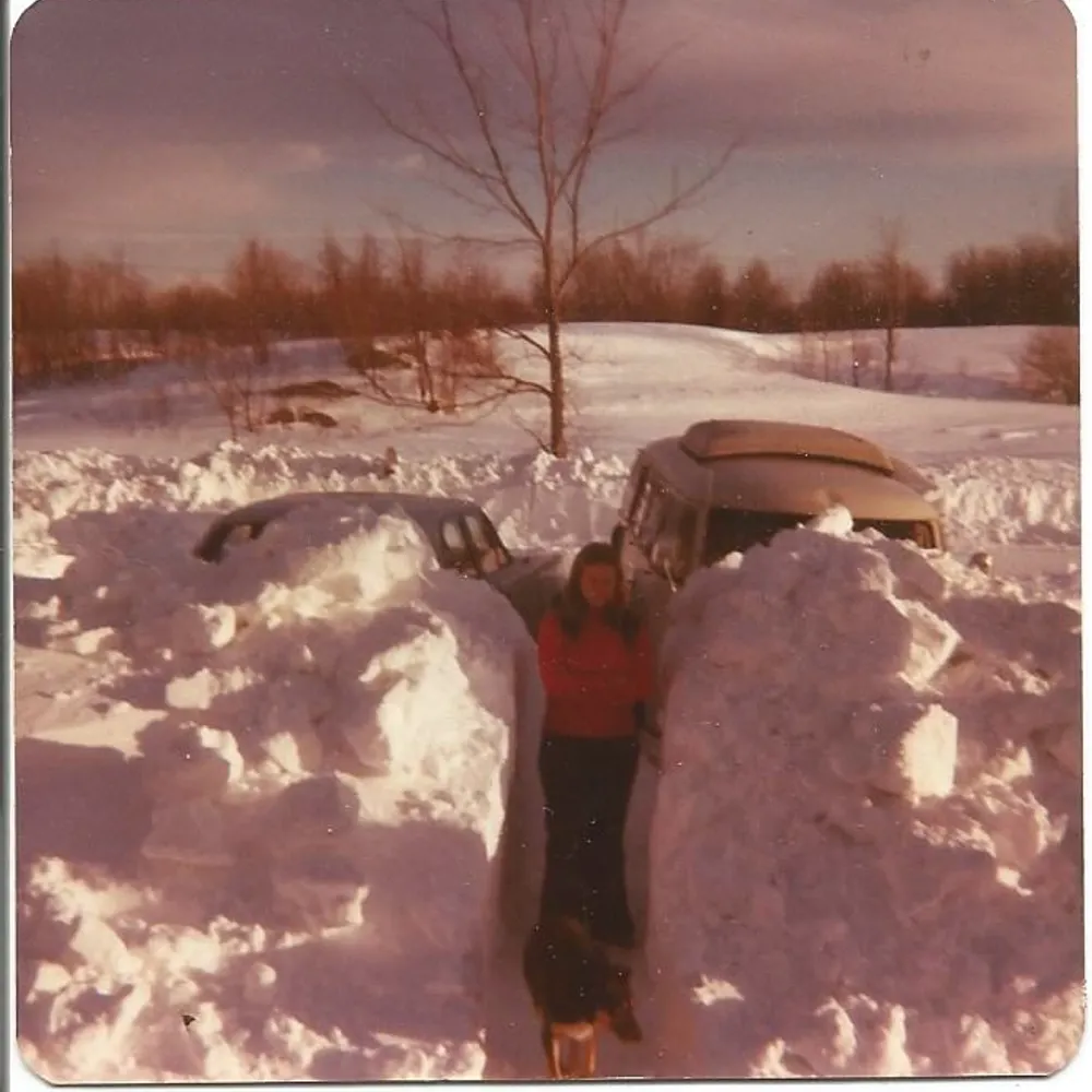 dianelabarge.bsky.social's profile picture