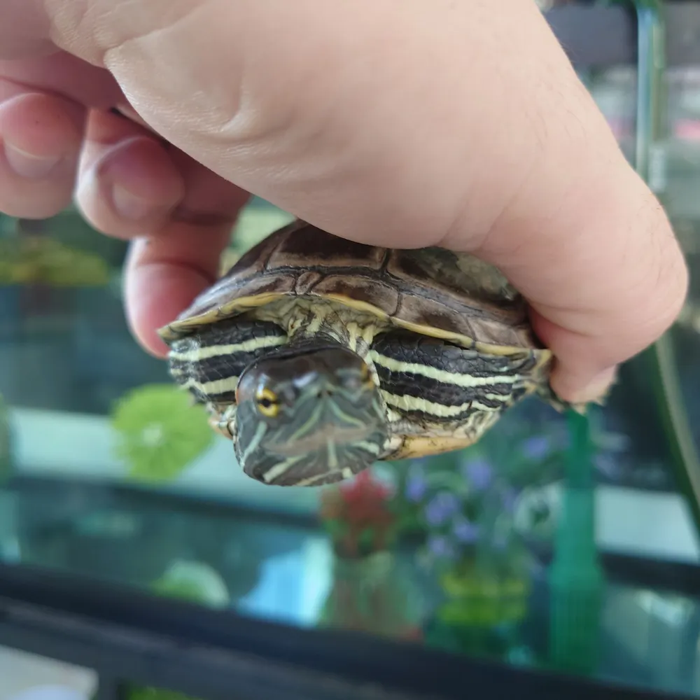 mfmayhem.bsky.social's profile picture