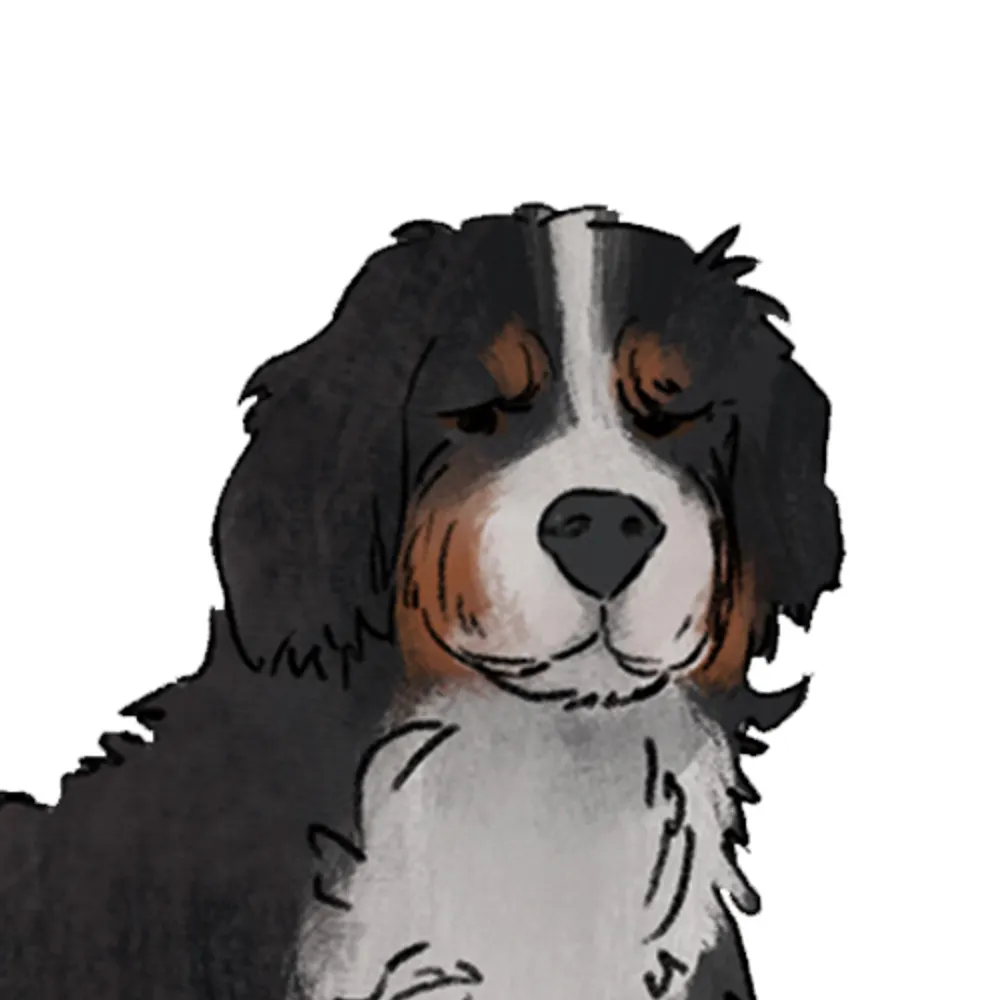 lucernal.bsky.social's profile picture