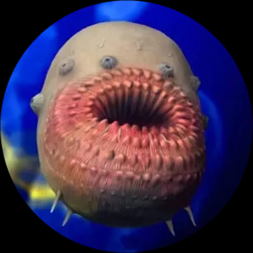 fnarf.bsky.social's profile picture